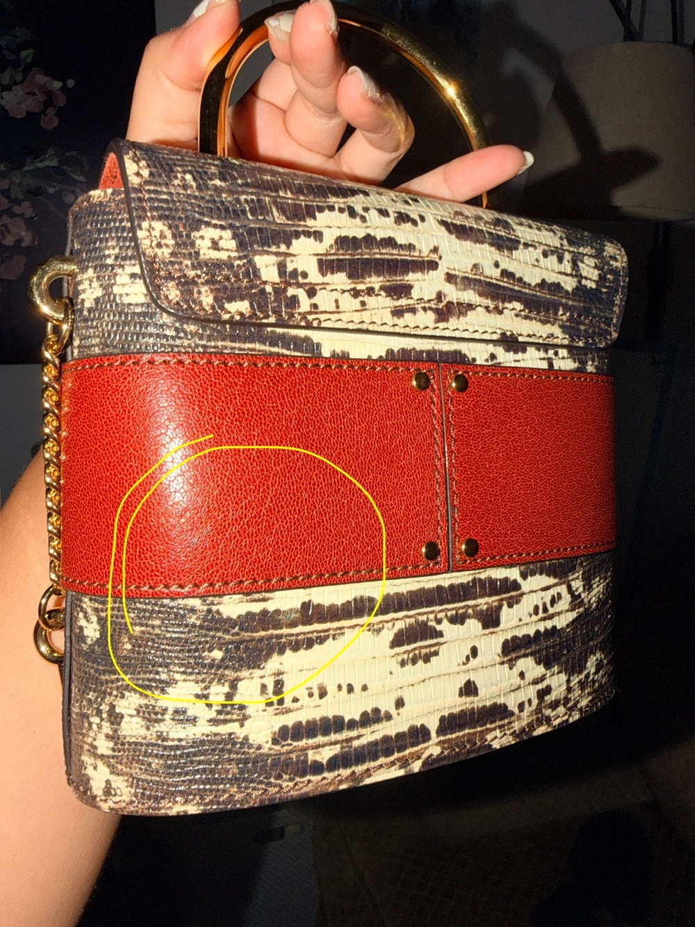 Chloe Mini Bag with Gold Handle - Picture 12 of 14